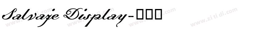 Salvaje Display字体转换